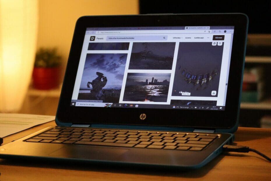 Asus Vs Hp: Which Laptop Should You Buy?